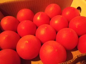 tomate-3