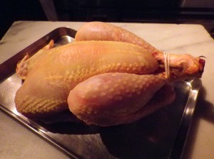 poulet-1